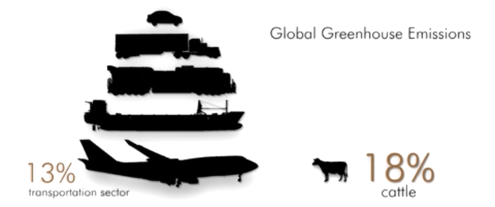 Climate Change - Cloa's Ark Animal Sanctuary Climate Change - Cloa's Ark Animal Sanctuary